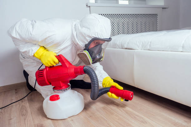 Best Cockroach Control Services  in Broad Creek, NC