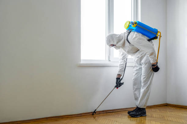 Best Flea Control Services  in Broad Creek, NC