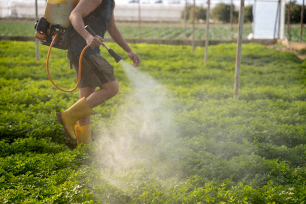Best Pest Prevention Services  in Broad Creek, NC