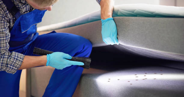 Best Ant Control Services  in Broad Creek, NC