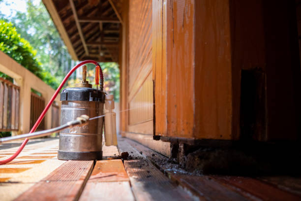 Best Mosquito Control Services  in Broad Creek, NC