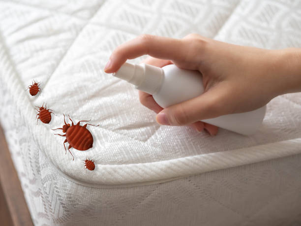Best Commercial Pest Control Services  in Broad Creek, NC